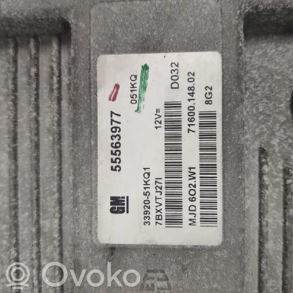 Engine control unit/module   55563977,289401
