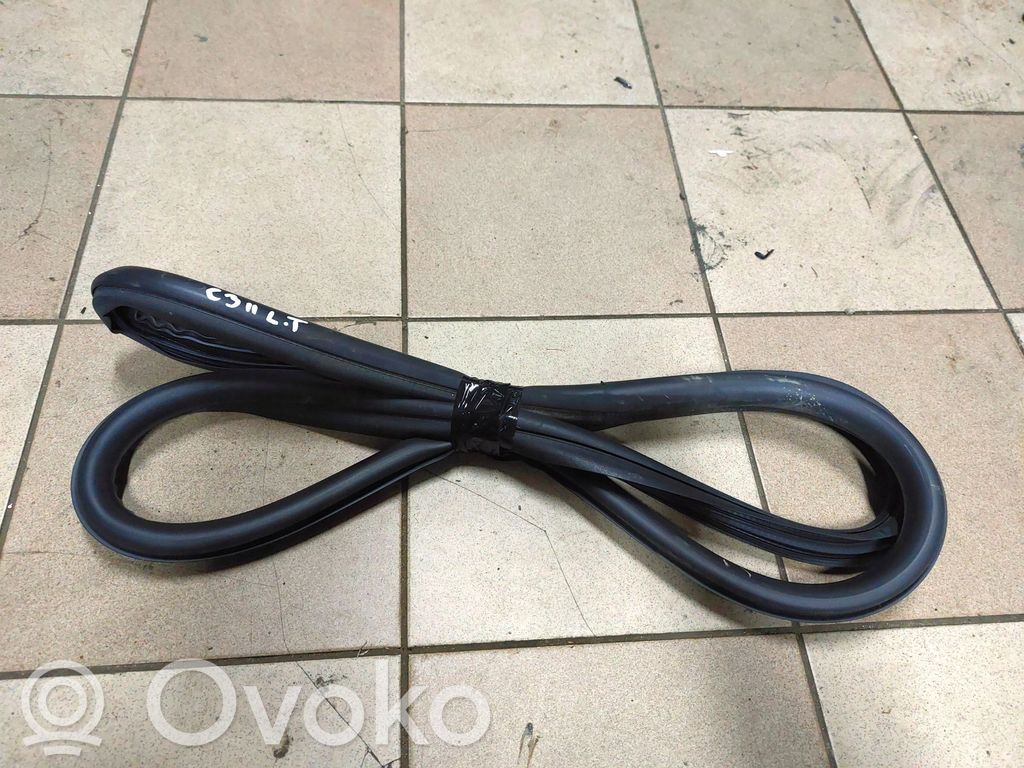 Citroen C3 Rubber seal rear door 