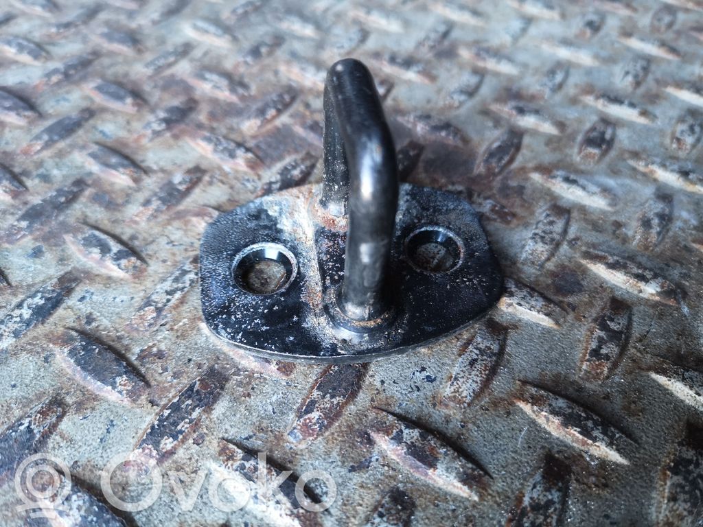 Loading door lock loop/hook striker