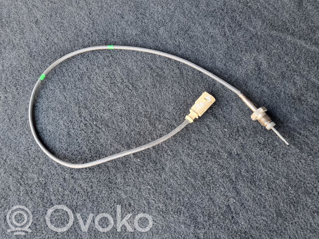 Skoda Yeti (5L) Exhaust gas temperature sensor 