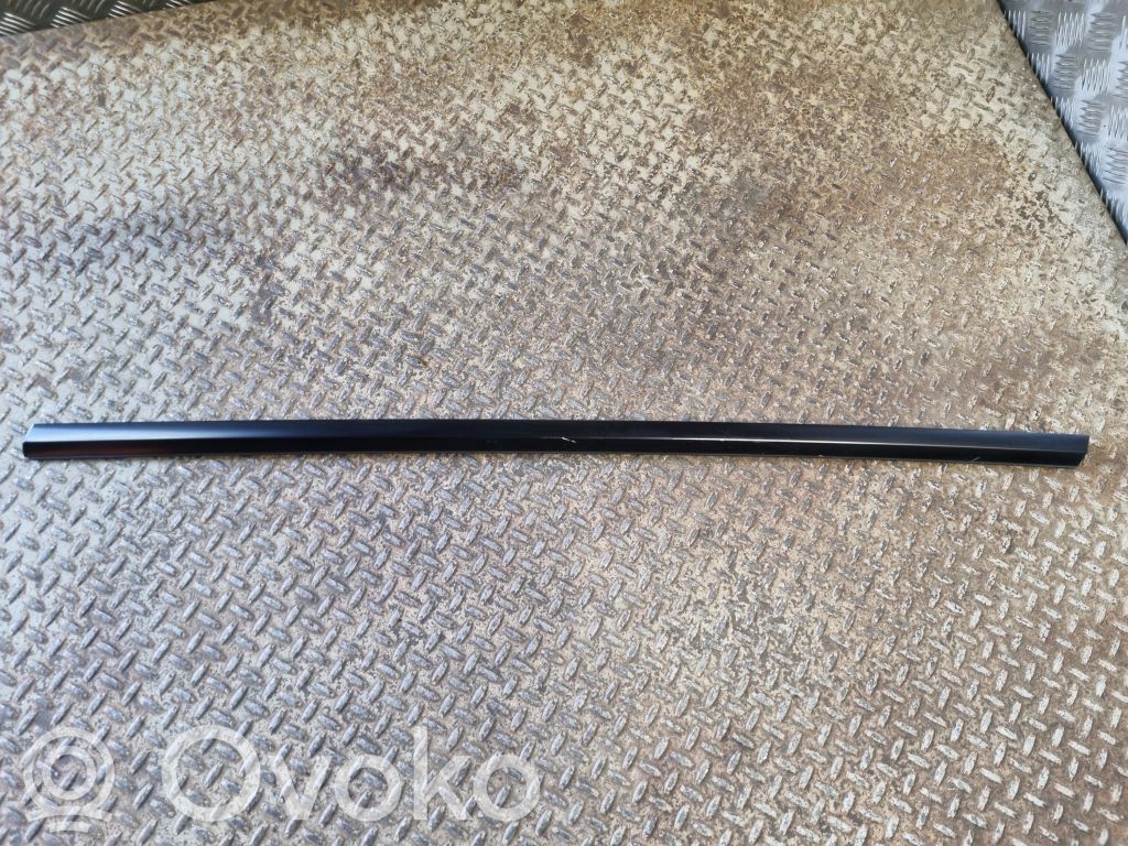 Tesla Model Y Listwa / Uszczelka szyby drzwi przednich 