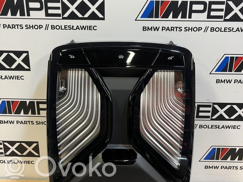 BMW X3 G01 Headlining lighting console trim 