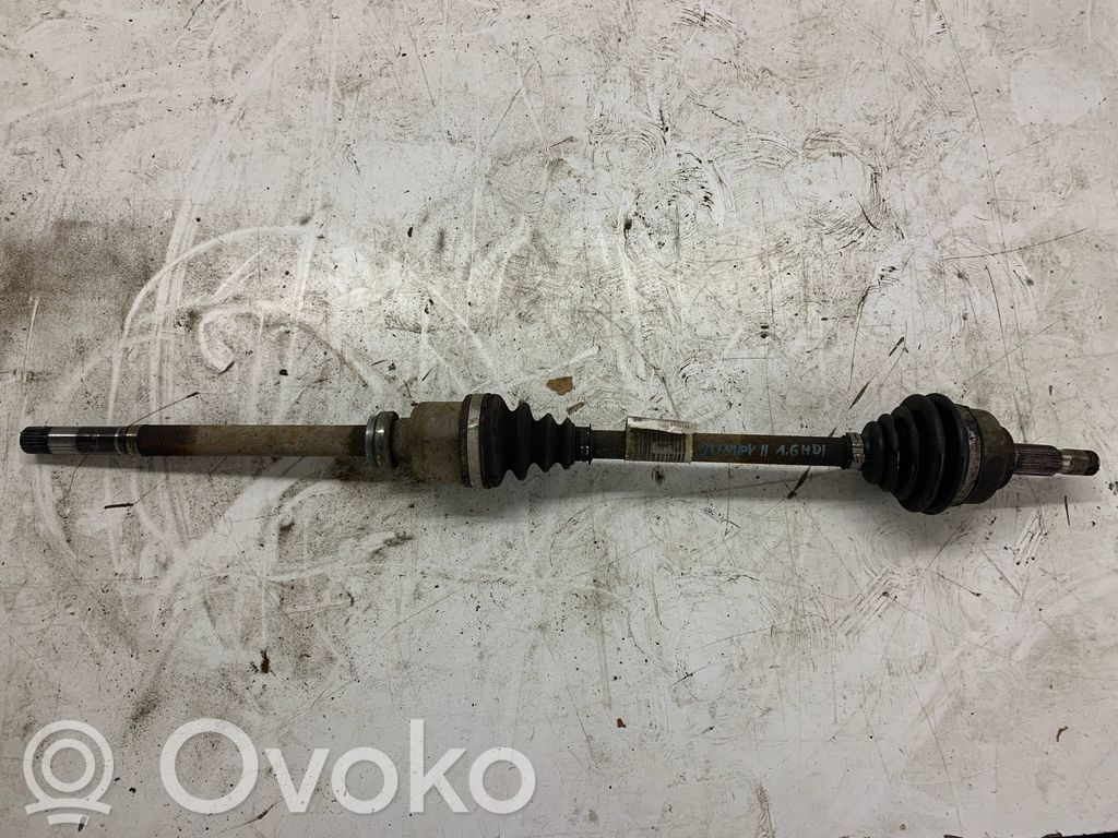 Citroen Jumpy Drive shaft (set) 