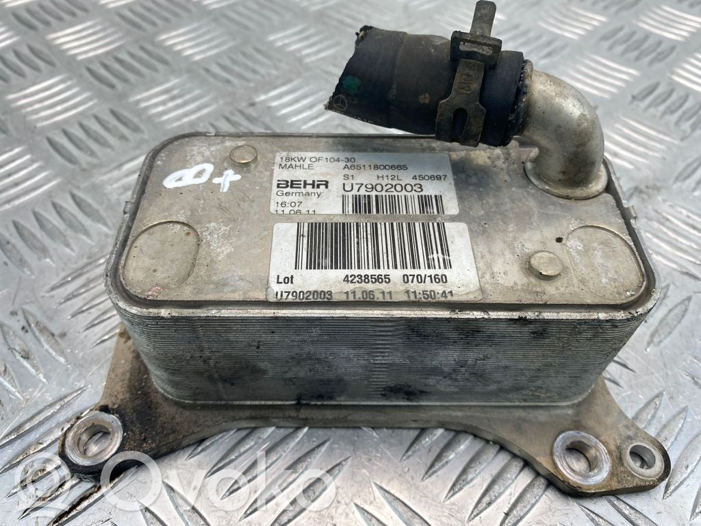Mercedes-Benz C W204 Mocowanie / uchwyt filtra oleju 