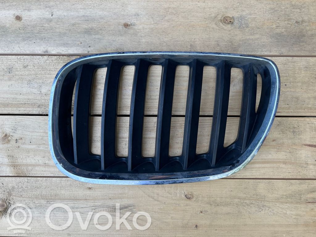 BMW X5 E53 Front bumper upper radiator grill 