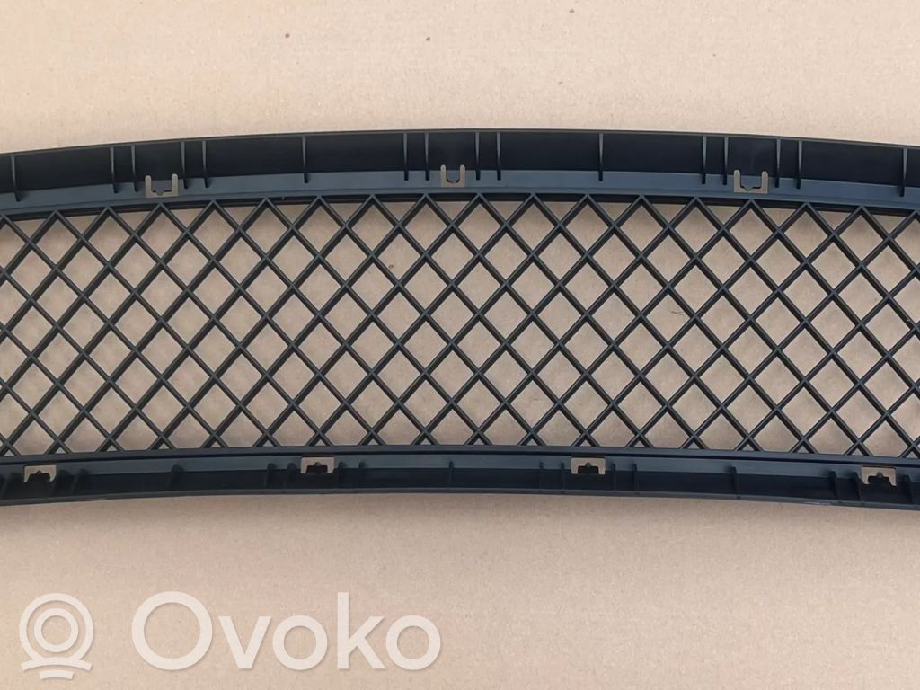 BMW 3 E46 Front bumper lower grill 