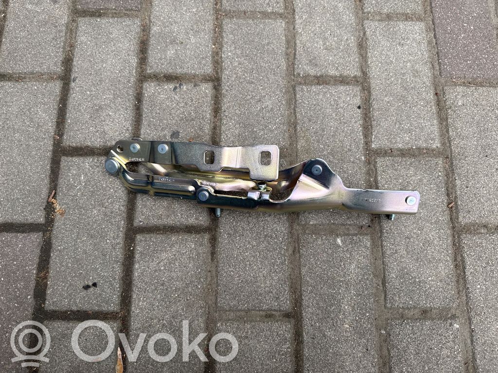 Tailgate/trunk/boot hinge   17148600D,171486300D,1714863
