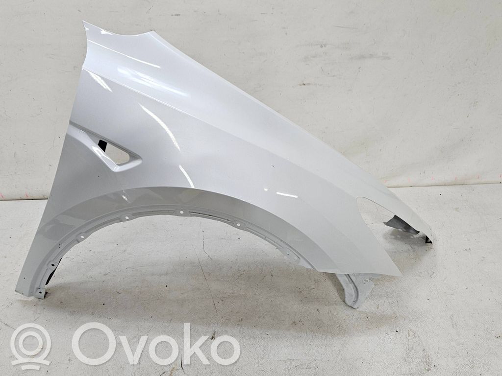 Tesla Model Y Fender 