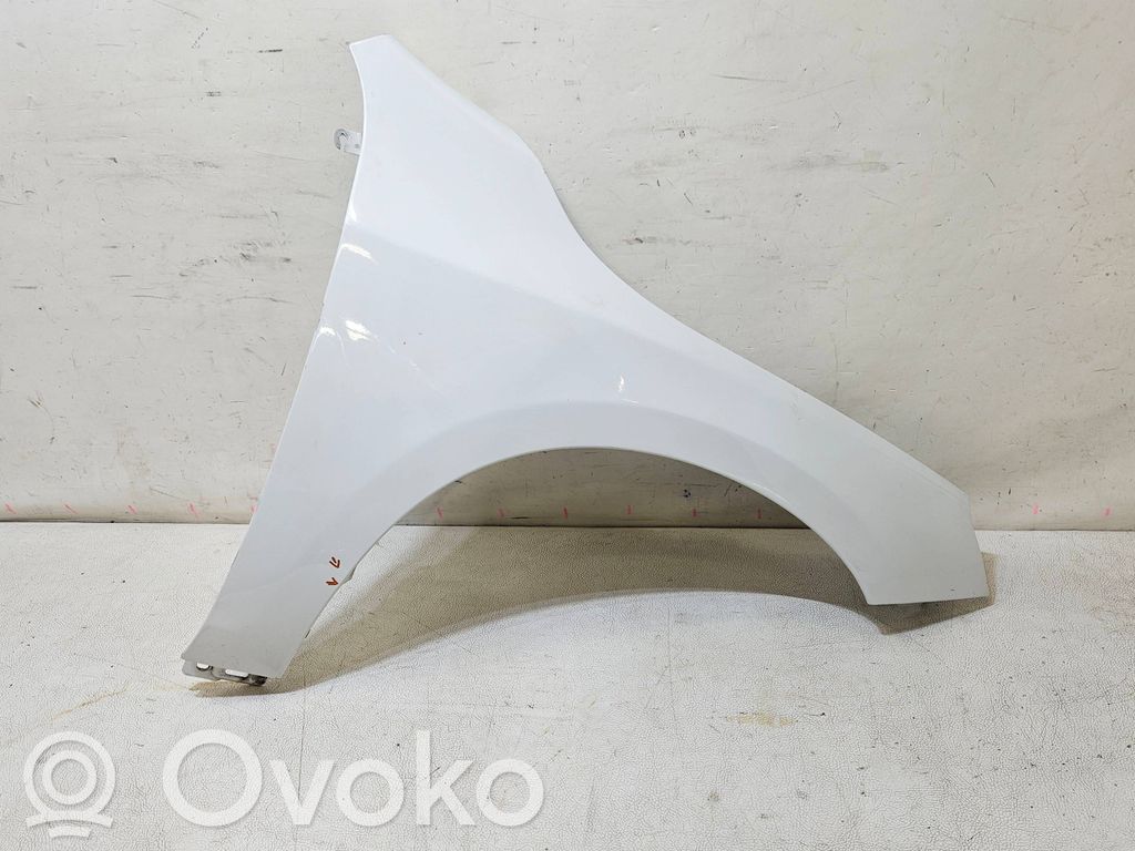 Sparnas   BLOTNIKV60