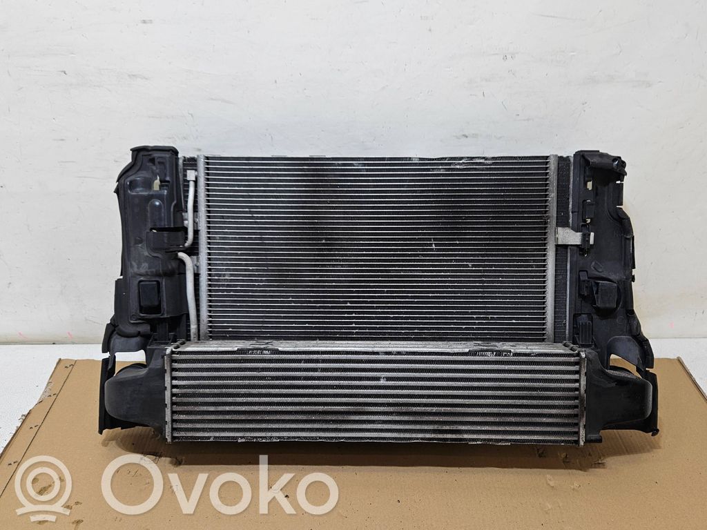 Radiator set   31338823