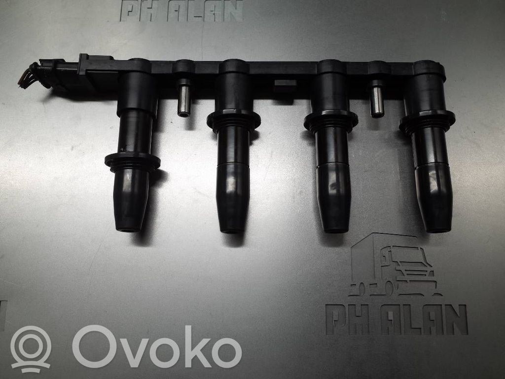 High voltage ignition coil   CE20009