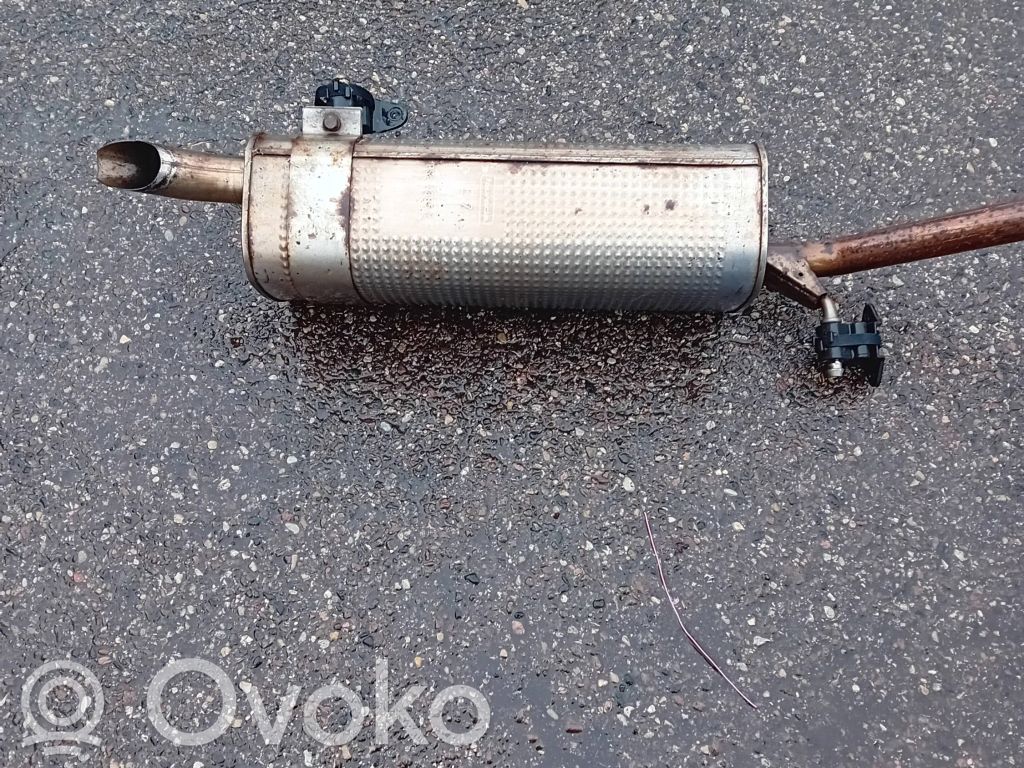 Duslintuvas   PSA4385