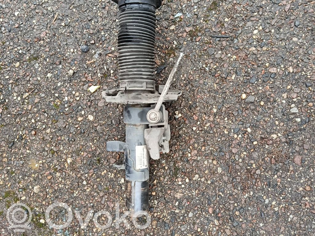 Stoßdämpfer vorne   BV6118045LAB