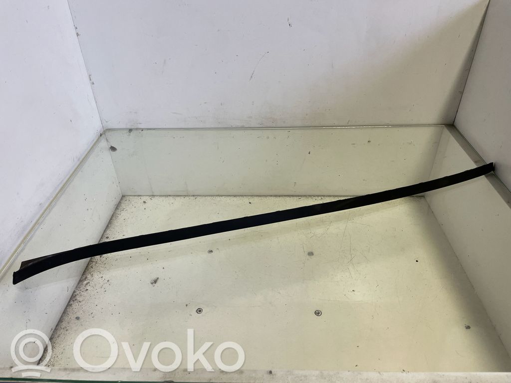 Windshield trim   575854320