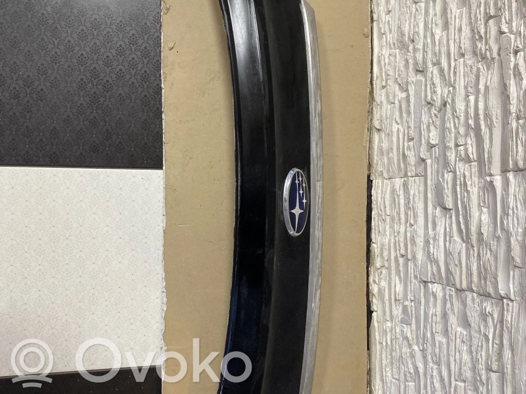 Tailgate trim   C08010034