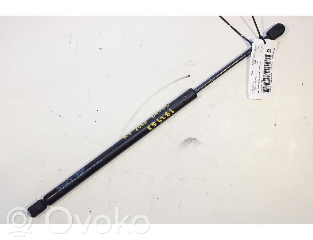 Tailgate/trunk strut/damper