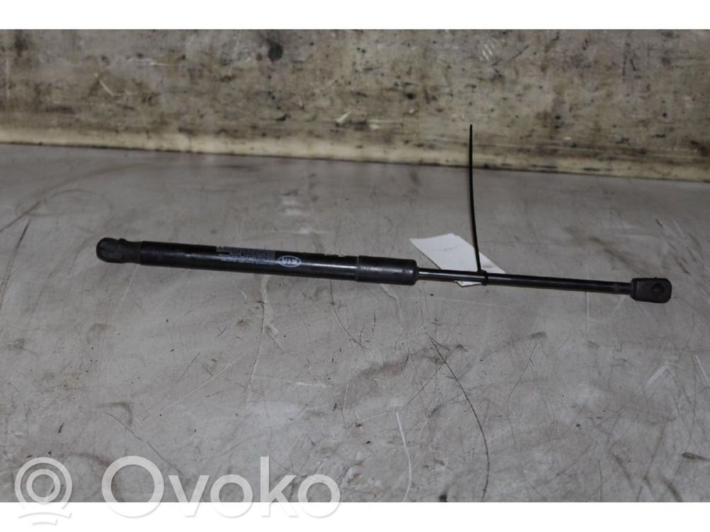 Rear window strut damper