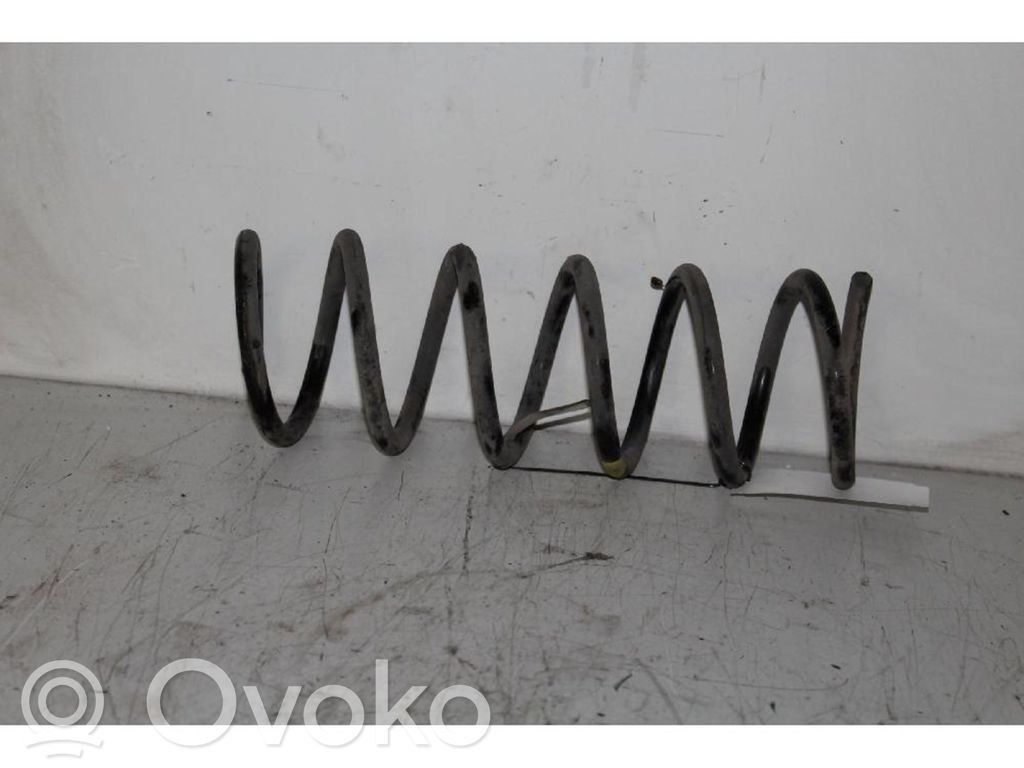 Rear coil spring