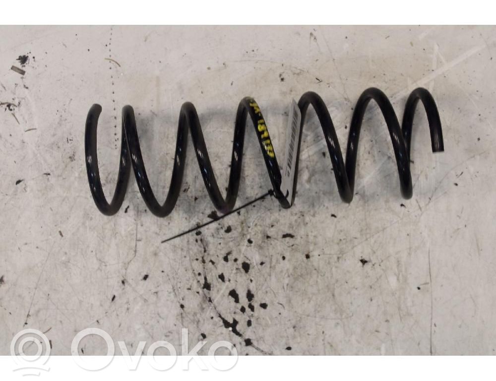 Rear coil spring