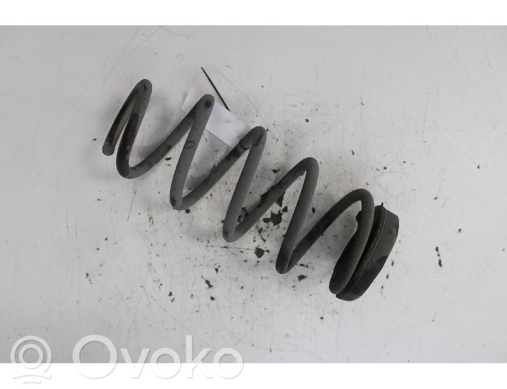 Rear coil spring