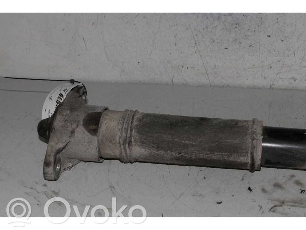 Stoßdämpfer hinten   55300A2000