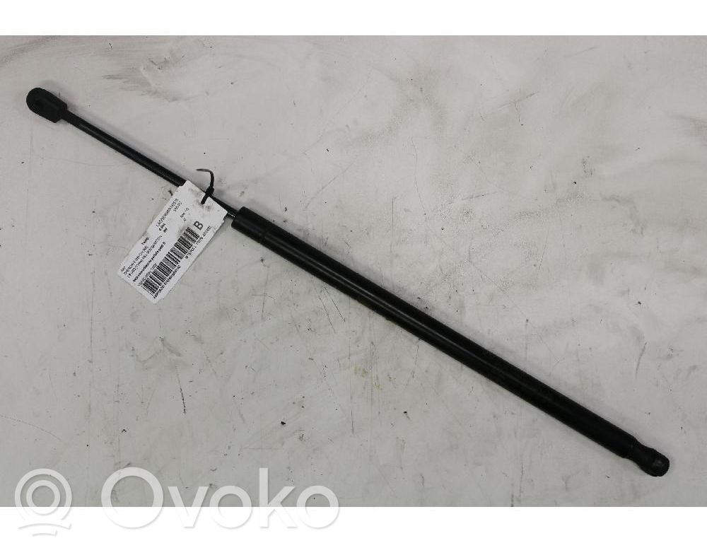 Tailgate/trunk strut/damper
