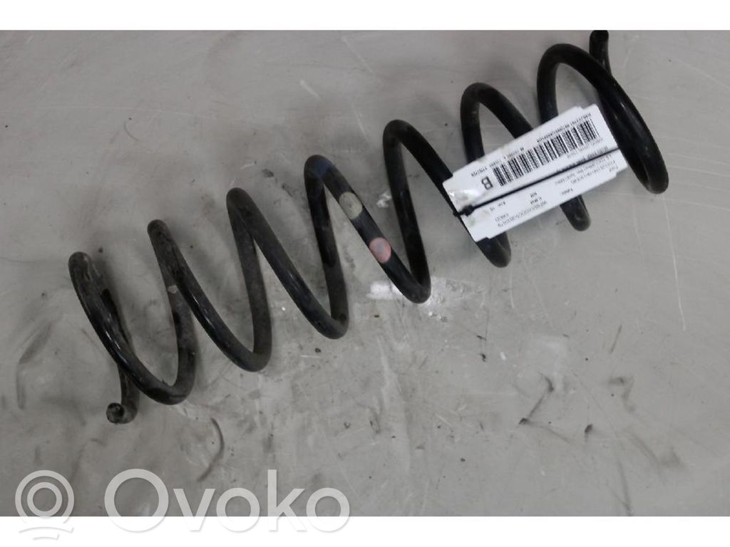 Rear coil spring