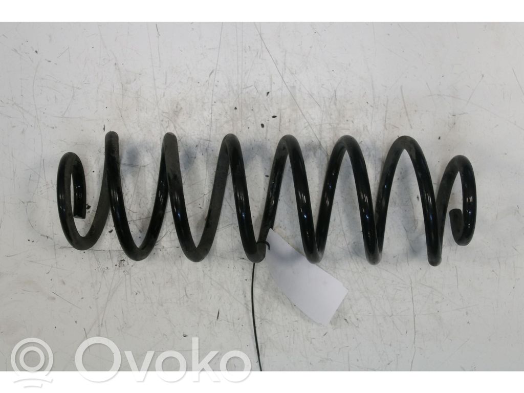 Rear coil spring