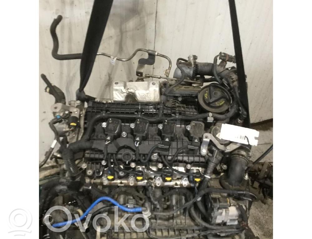 Engine   55282328