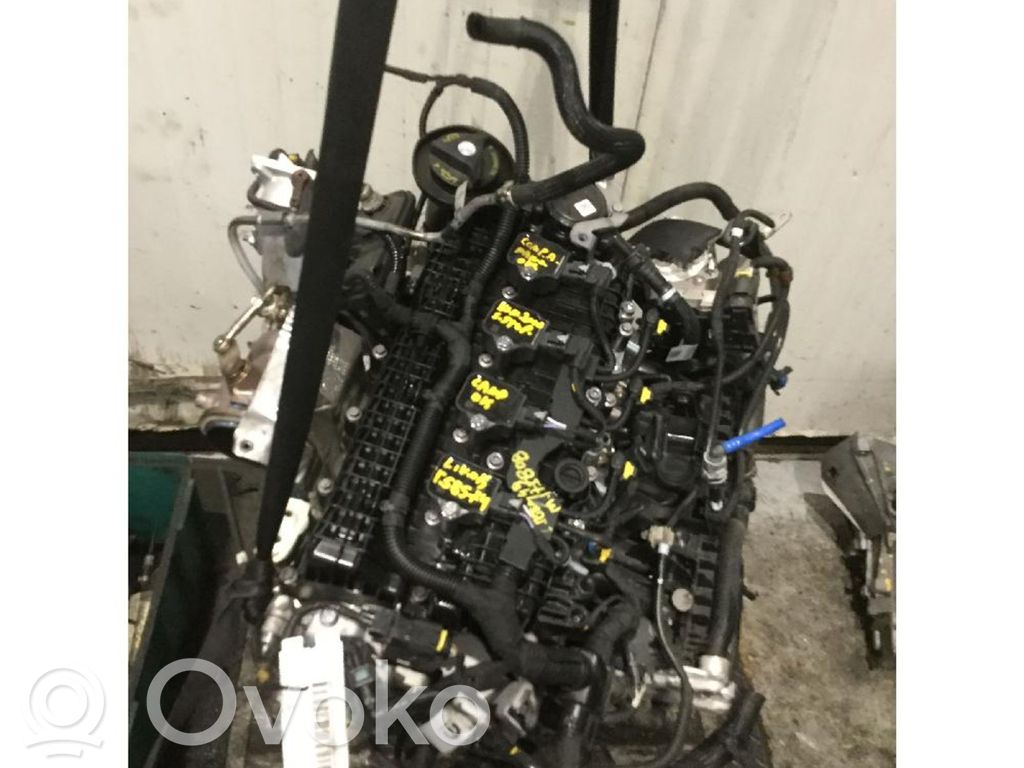 Engine   46351268