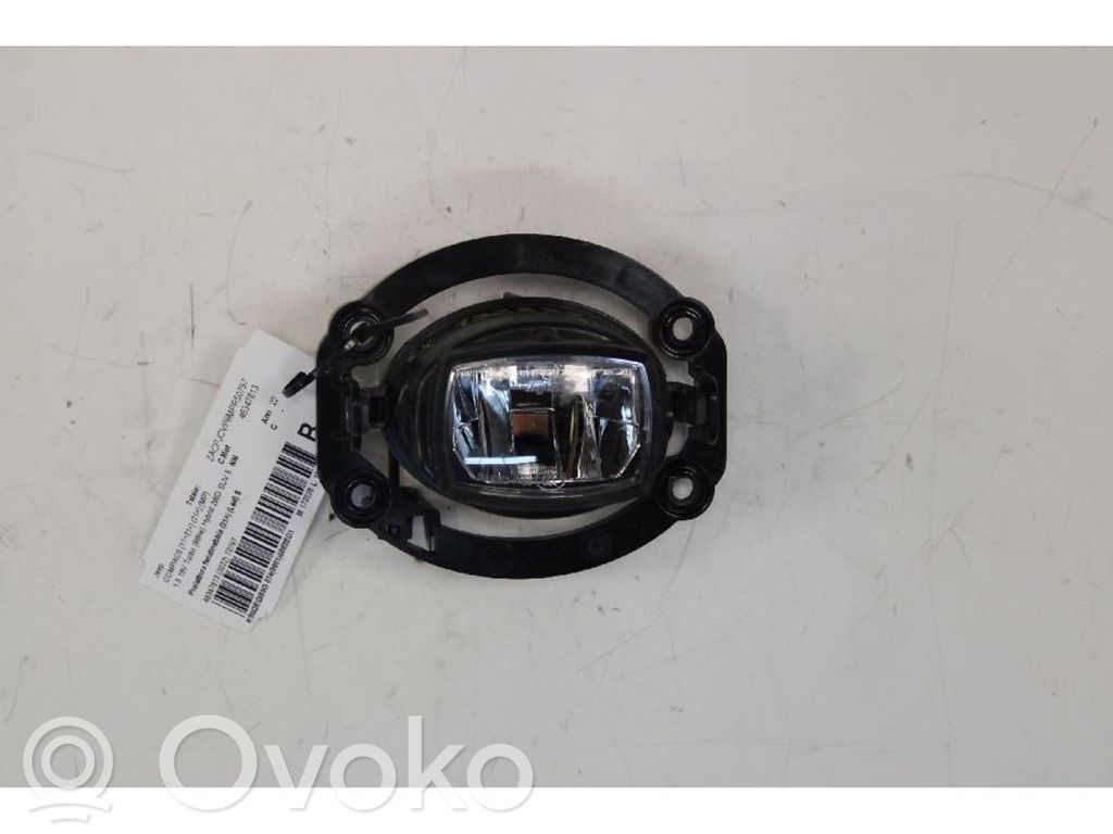Luz de niebla delantera   68470159AA