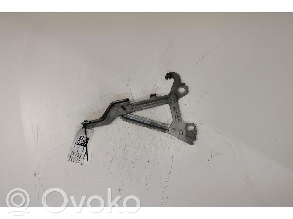 Cerniere del vano motore/cofano
