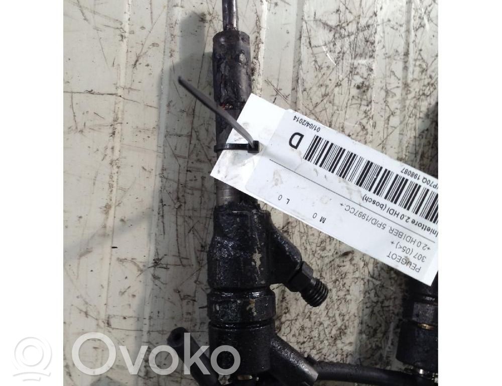 Peugeot 307 Injektor Einspritzdüse 