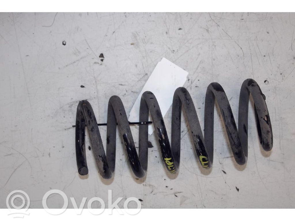 Rear coil spring