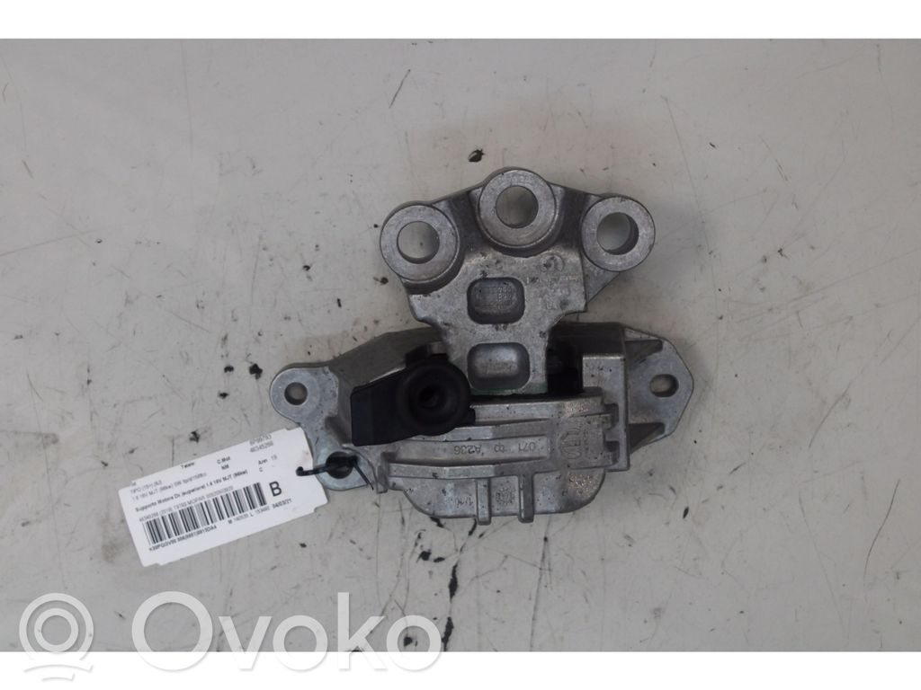 Engine mount bracket   00520503920