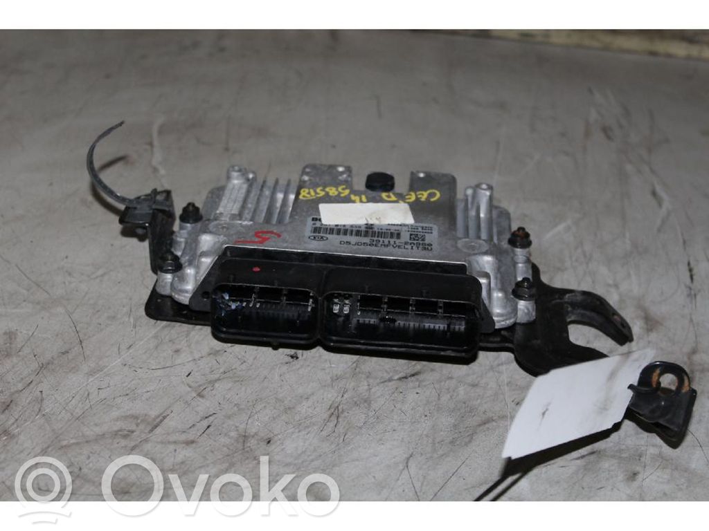 Fuel injection control unit/module   0281018639