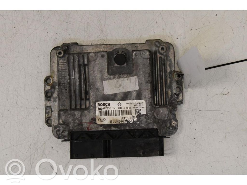 Fuel injection control unit/module   0281031501