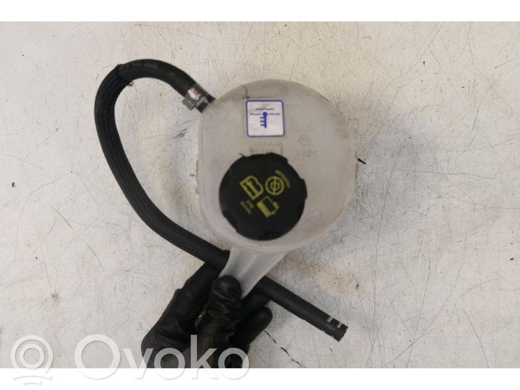 Alfa Romeo Tonale Serbatoio di compensazione del liquido refrigerante/vaschetta 