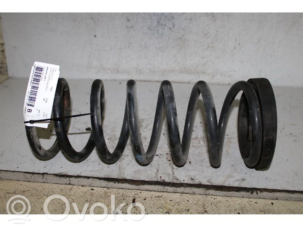 Rear coil spring