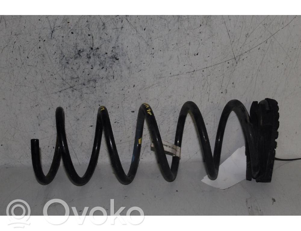 Rear coil spring