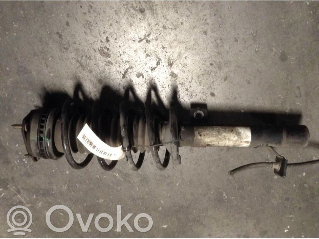 Stoßdämpfer vorne   1310093