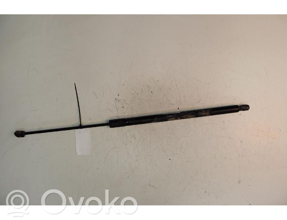 Tailgate/trunk strut/damper