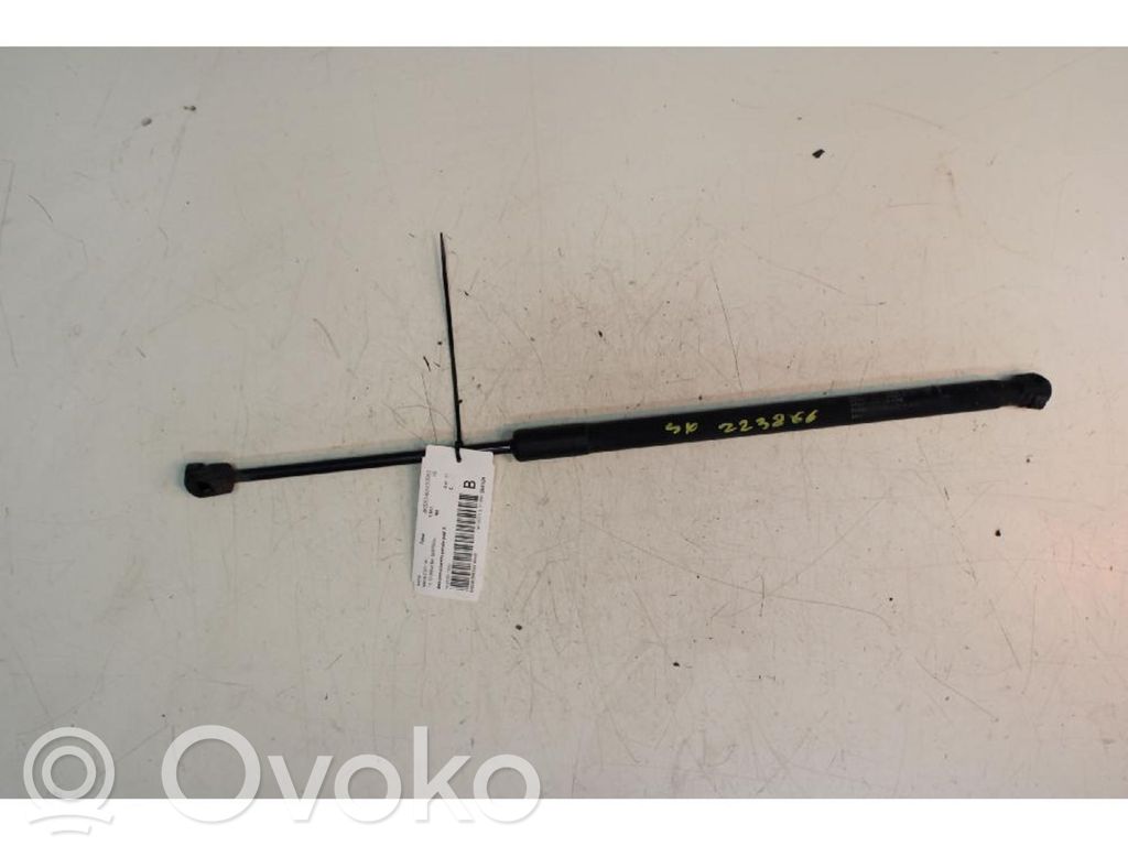 Tailgate/trunk strut/damper