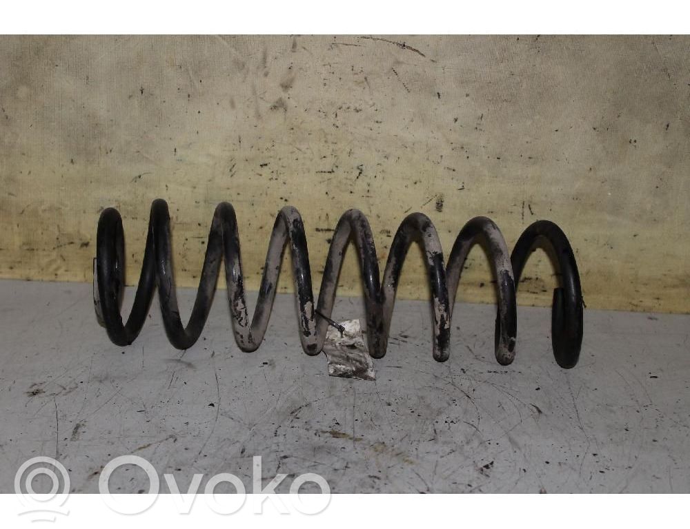 Front coil spring