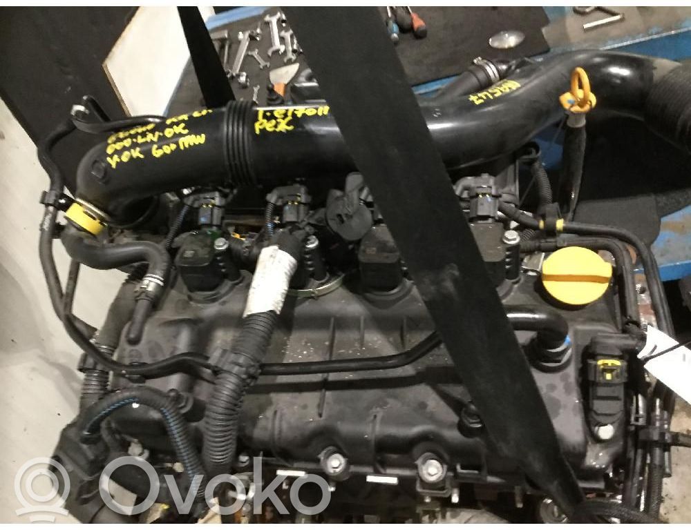 Motor   55268036