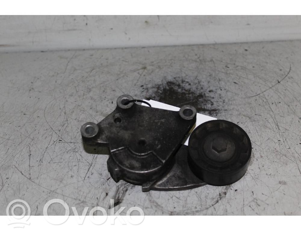 Întinzător curea generator/alternator