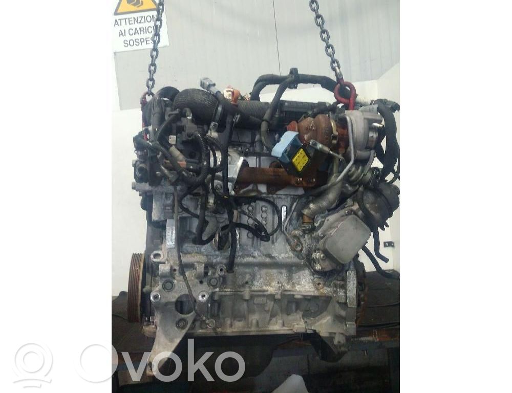 Motor   8H01