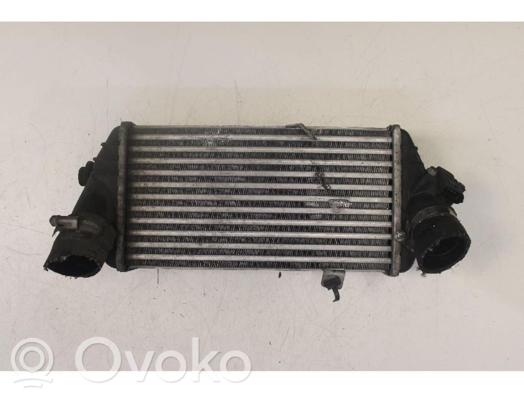 Hyundai i20 (PB PBT) Radiator intercooler 