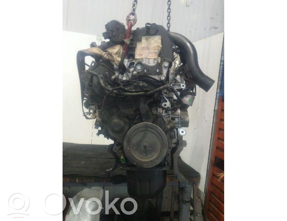 Motor   XXDC