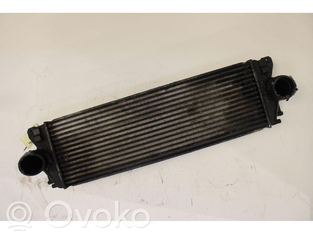 Mercedes-Benz Sprinter W906 Radiatore intercooler 